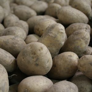 Aardappelen Maaltijdservice